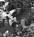 Photo de famille